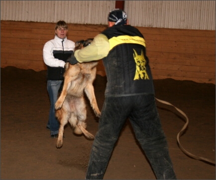 Training in Estonia 11/2007